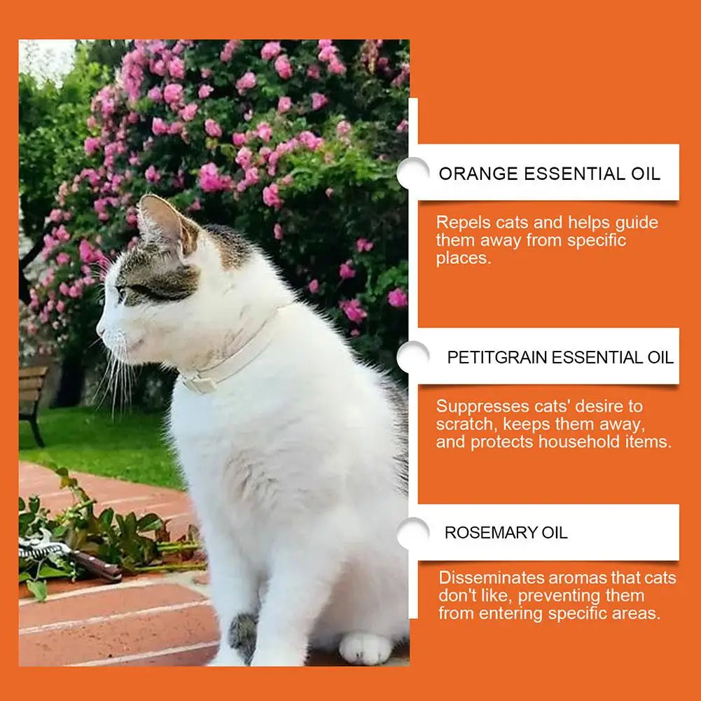 2PCS Cat Repellent Spray Keep Pets Away From Anti-scratching And Anti-chewing Household Spray Pet Accessories 100ML