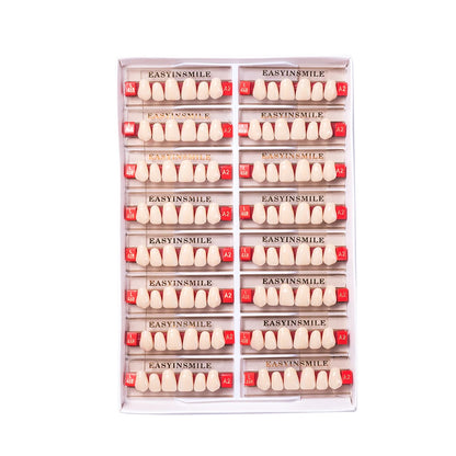 16/12 Sets/ Box Dental Teeth Anterior Posterior Polymer Denture acrylic Tooth A2 A3 2 Layers Dentistry Materials Education Model