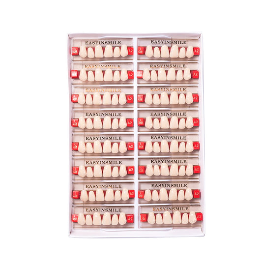 16/12 Sets/ Box Dental Teeth Anterior Posterior Polymer Denture acrylic Tooth A2 A3 2 Layers Dentistry Materials Education Model