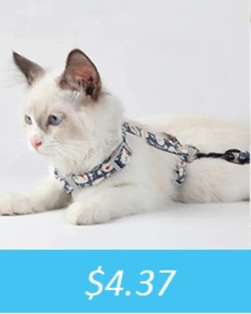 350ml Travel Slow Food Bowl for Small & Large Dogs, Foldable Pet Feeder with Buckle