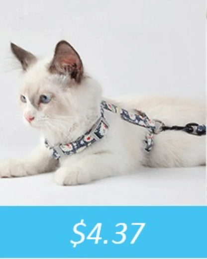 350ml Travel Slow Food Bowl for Small & Large Dogs, Foldable Pet Feeder with Buckle