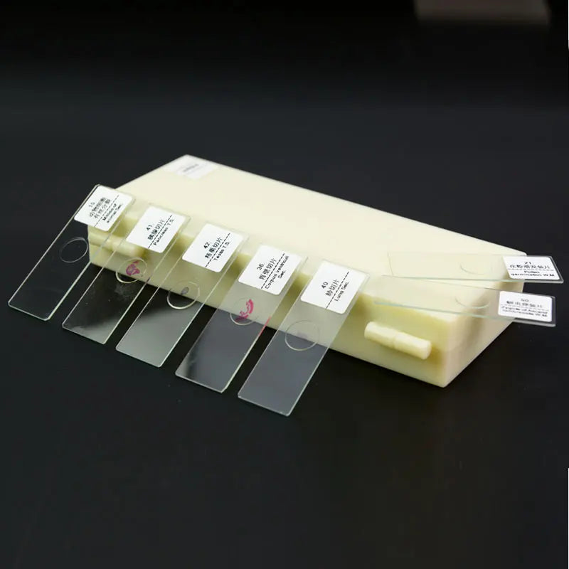 50 PCS Prepared Microscope Slides Learning Resources Slice in Box Basic Science Teaching Learning Specimen