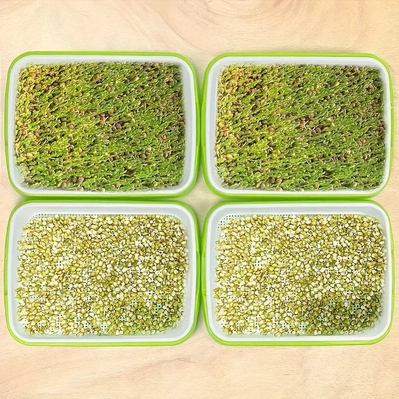 5 growth trays for germinating seeds, hydroponic basket for soilless cultivation, germination tray kit with lid
