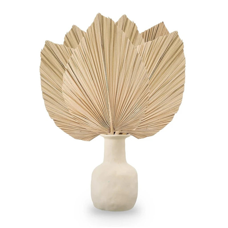 6PCS Dried Palm Leaves Natural Dried Palm Fans,Large Palm Spear For Boho Wedding Decor,Tropical Palm Leaves Decoration Durable S