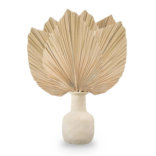 6PCS Dried Palm Leaves Natural Dried Palm Fans,Large Palm Spear For Boho Wedding Decor,Tropical Palm Leaves Decoration Durable S