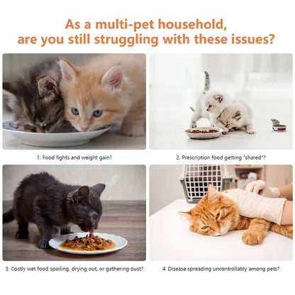 Smart Microchip Pet Timing Feeder Bowl Cats Dog Multi Pets Homes Intelligent Automatic Food Timed Feeder Supplies