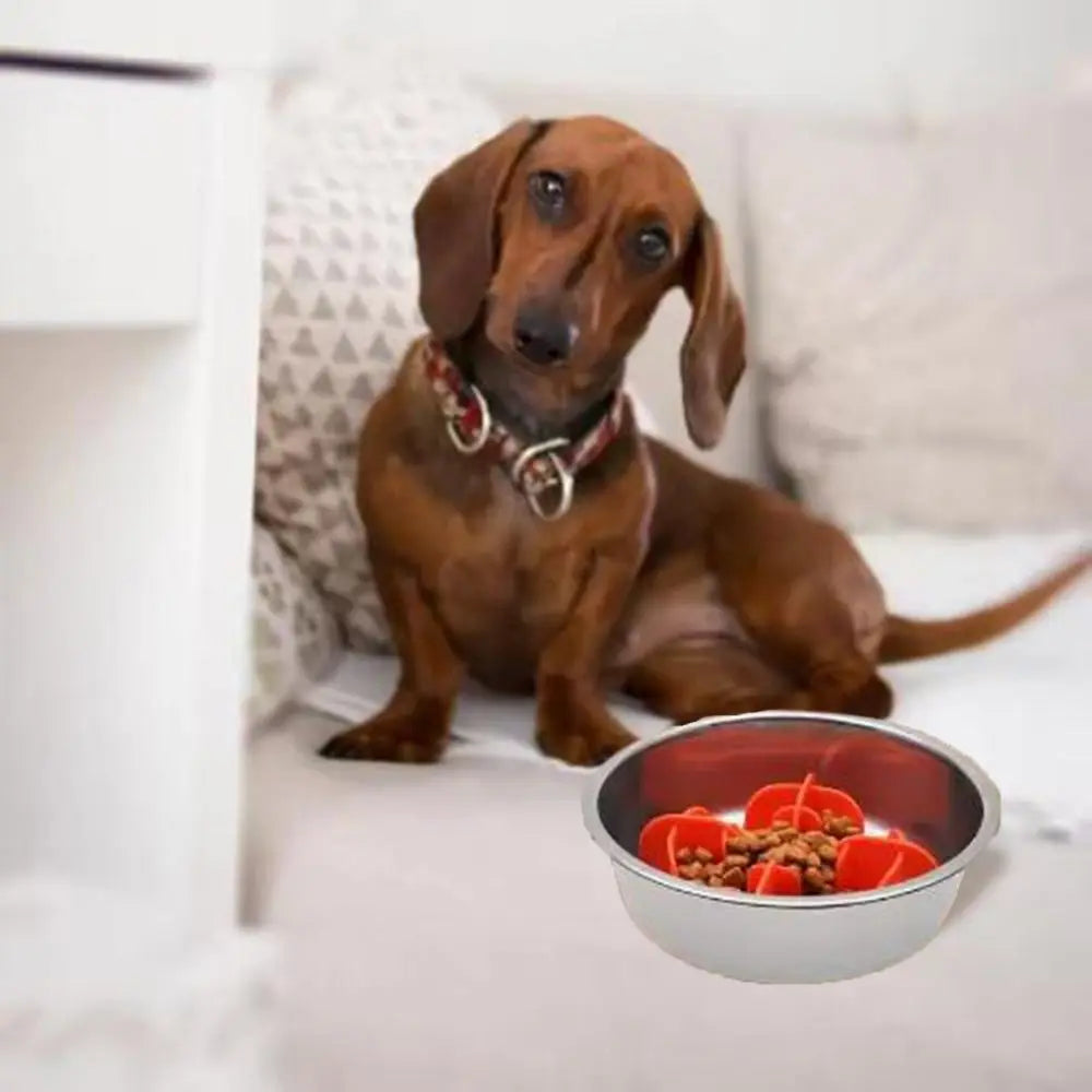 Convenient Silicone Dog Slow Feeder Safe Anti Choking Pet Slow Food Bowl Nonslip Soft Puppy Feeding Bowl for Pet