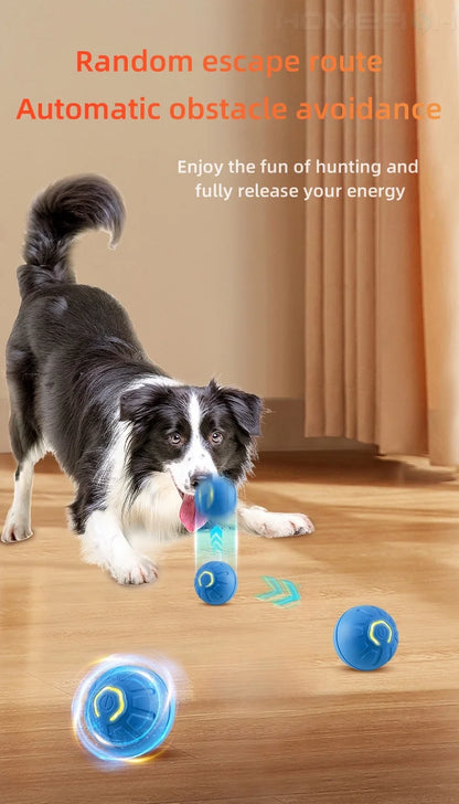 Smart Jumping Ball Pet Toy Auto-Moving Chew-Resistant with USB Charge for Dogs Cats Interactive Play