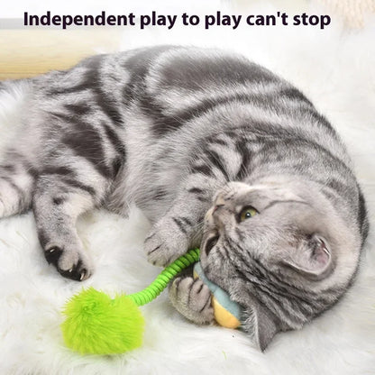 Interactive cat toy, fruit, spring, crocodile, Tiger, avocado, to relieve boredom toy