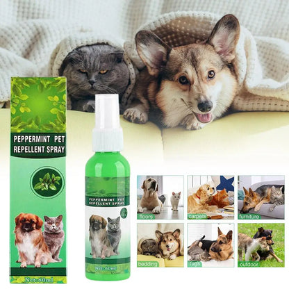 60ml Pet Pest Spray Pet Dog Anti-flea Mites Ticks Drops Kitten Pest Treatment Treatment Flea Puppy Kitten Puppy Spray