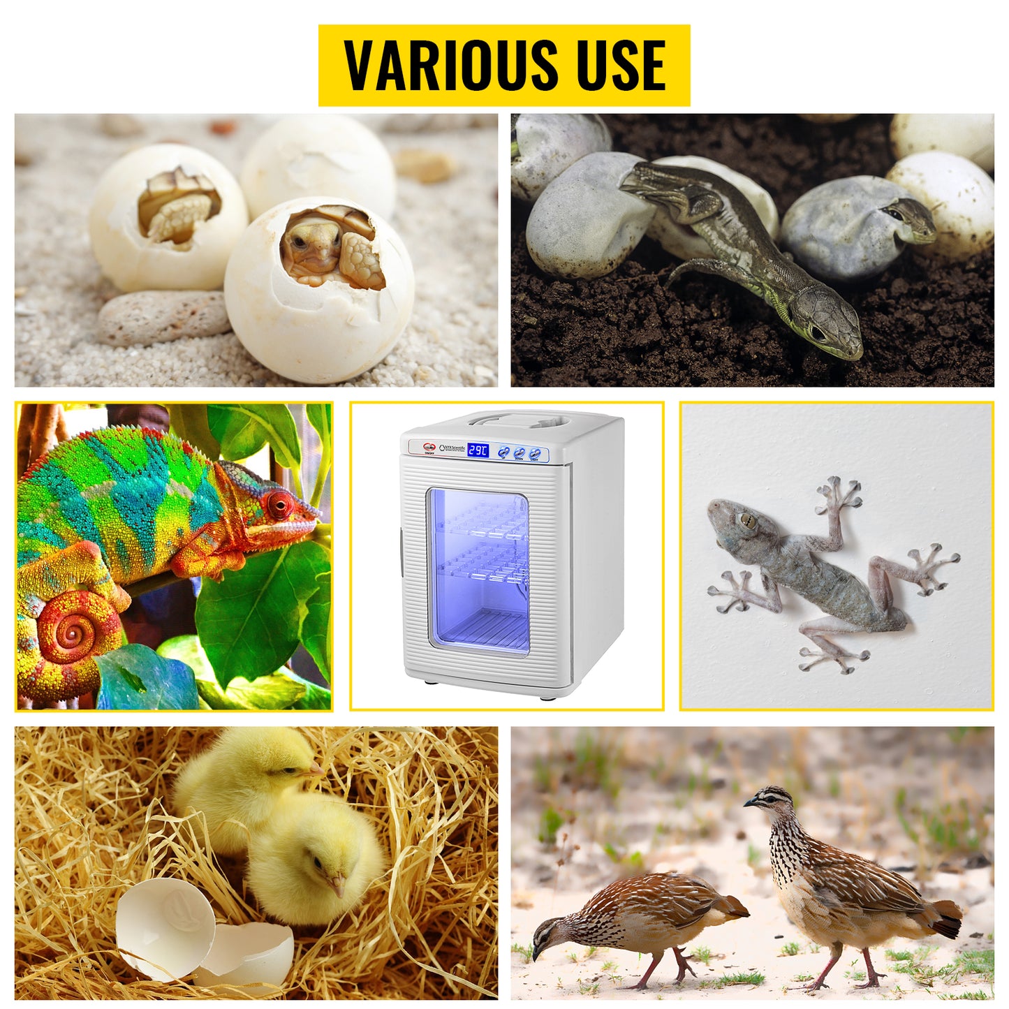 SucceBuy 25L Reptile Incubator Scientific Lab Automatic Incubator Egg Breeding Hatchery Work for Thermostats Snakes and Turtles