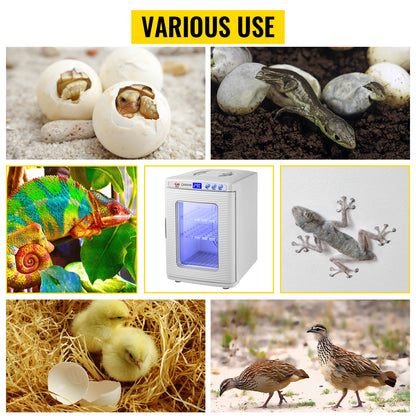 SucceBuy 25L Reptile Incubator Scientific Lab Automatic Incubator Egg Breeding Hatchery Work for Thermostats Snakes and Turtles